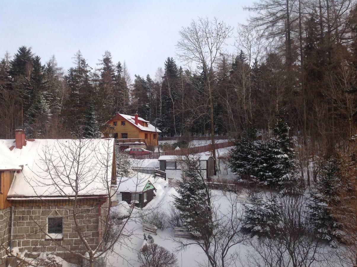 Apartament Sniezna Sowa Szklarska Poreba Bagian luar foto
